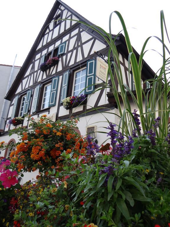 Hotel Schuetzenhof Spa Garden Bürstadt Екстериор снимка